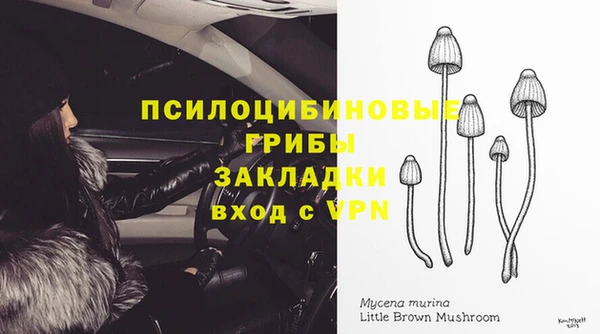бутират Новодвинск