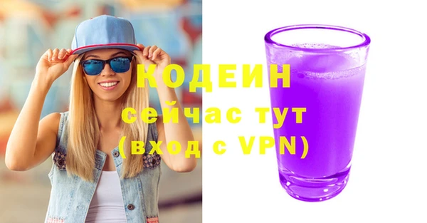 2c-b Новозыбков