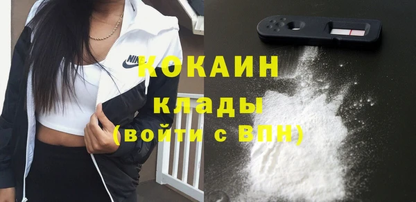 2c-b Новозыбков