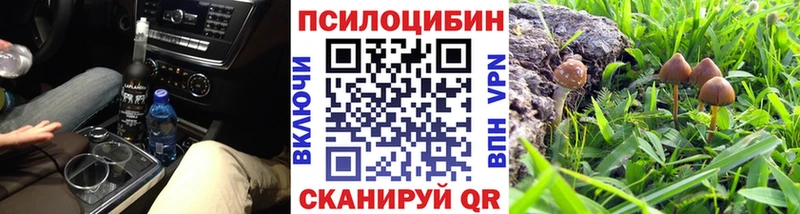 Псилоцибиновые грибы Psilocybe  Купить  Темников 